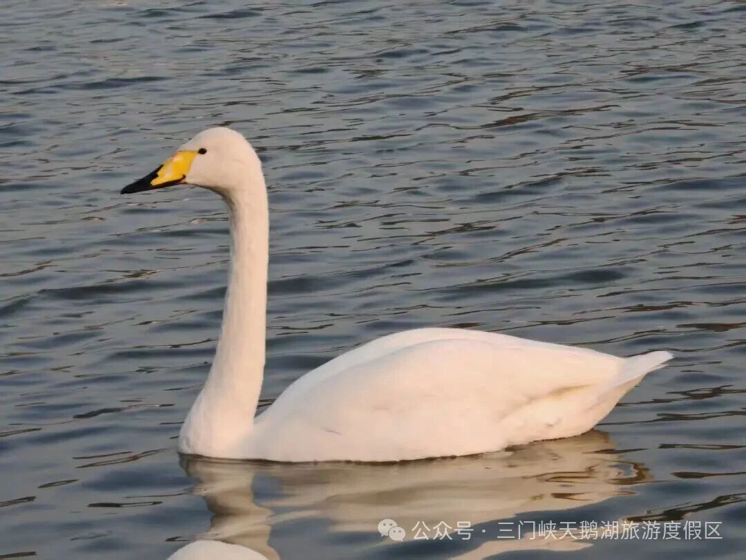 微信图片_20251107082611.jpg 微信图片_20251107082611.jpg