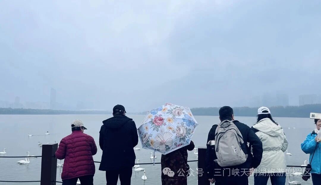 微信图片_20251109165316.jpg 微信图片_20251109165316.jpg