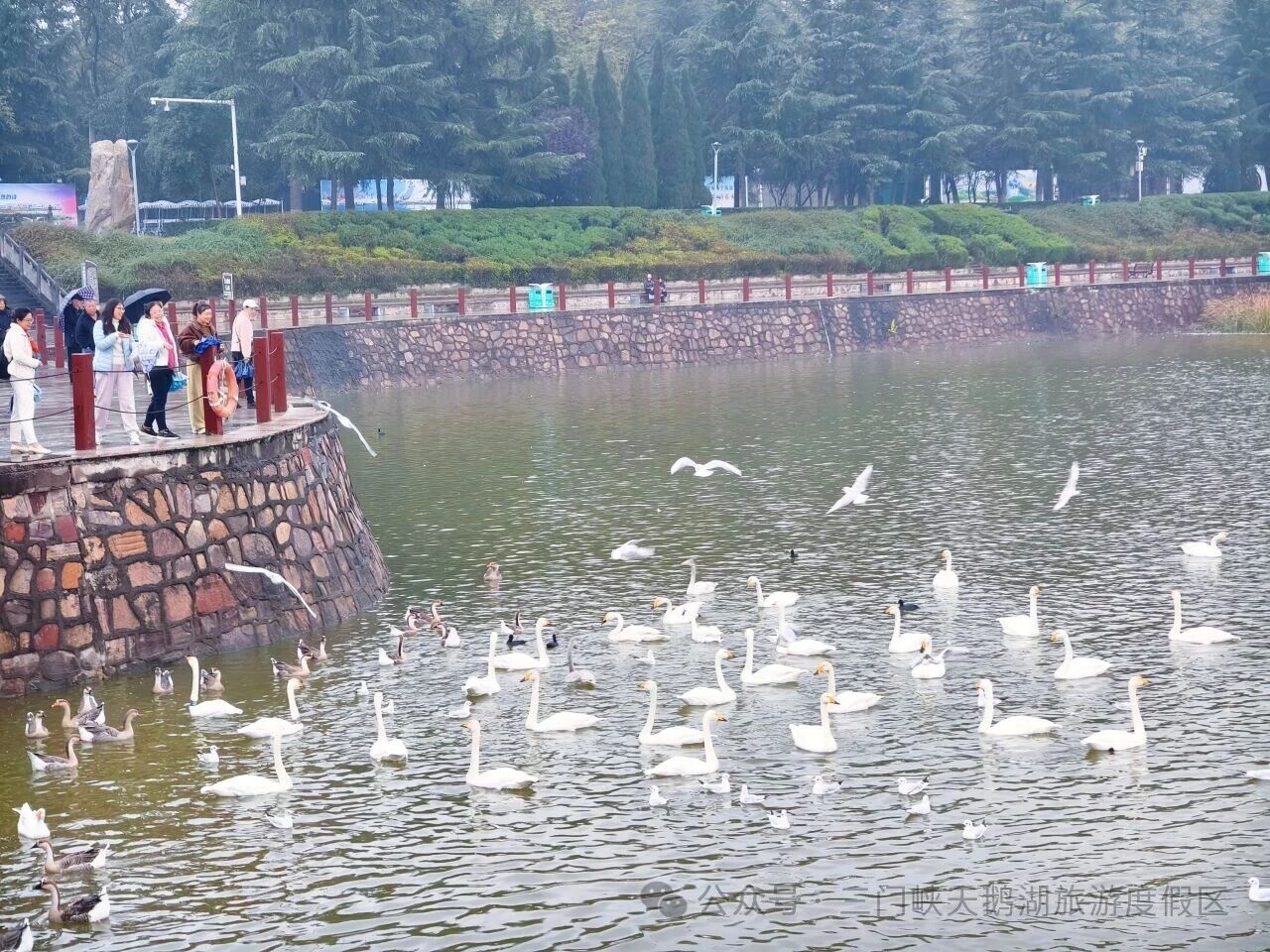 微信图片_20251109165327.jpg 微信图片_20251109165327.jpg