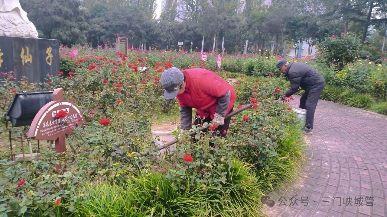 微信图片_20251113082402.jpg 微信图片_20251113082402.jpg