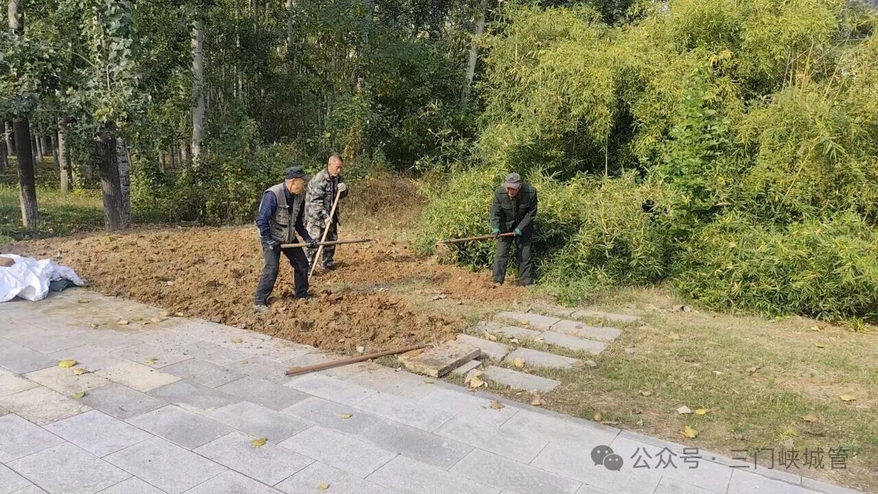 微信图片_20251113082446.jpg 微信图片_20251113082446.jpg