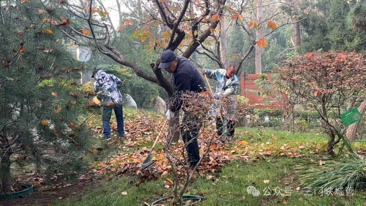 微信图片_20251113082449.jpg 微信图片_20251113082449.jpg