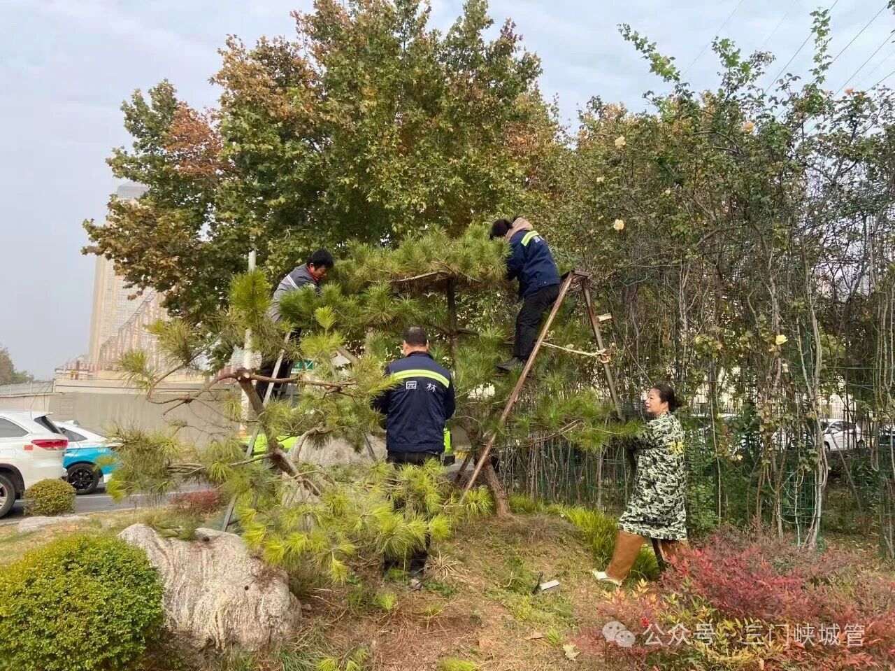 微信图片_20251113082503.jpg 微信图片_20251113082503.jpg