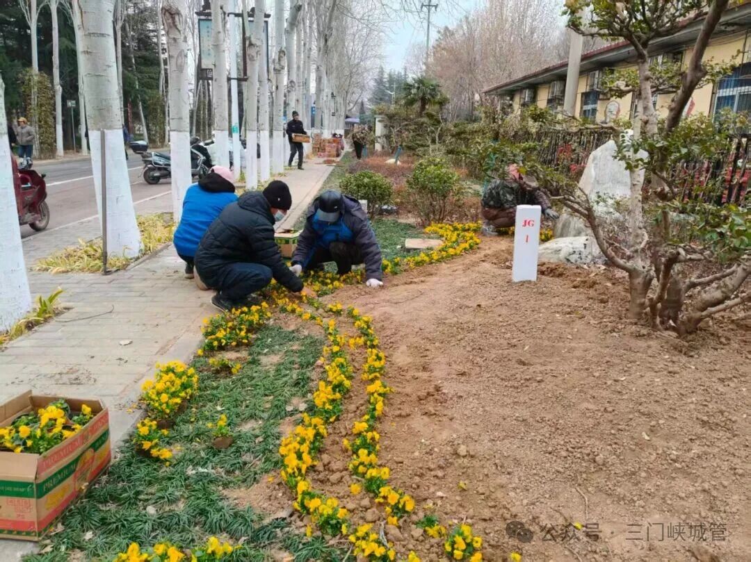 微信图片_20251225083058.jpg 微信图片_20251225083058.jpg