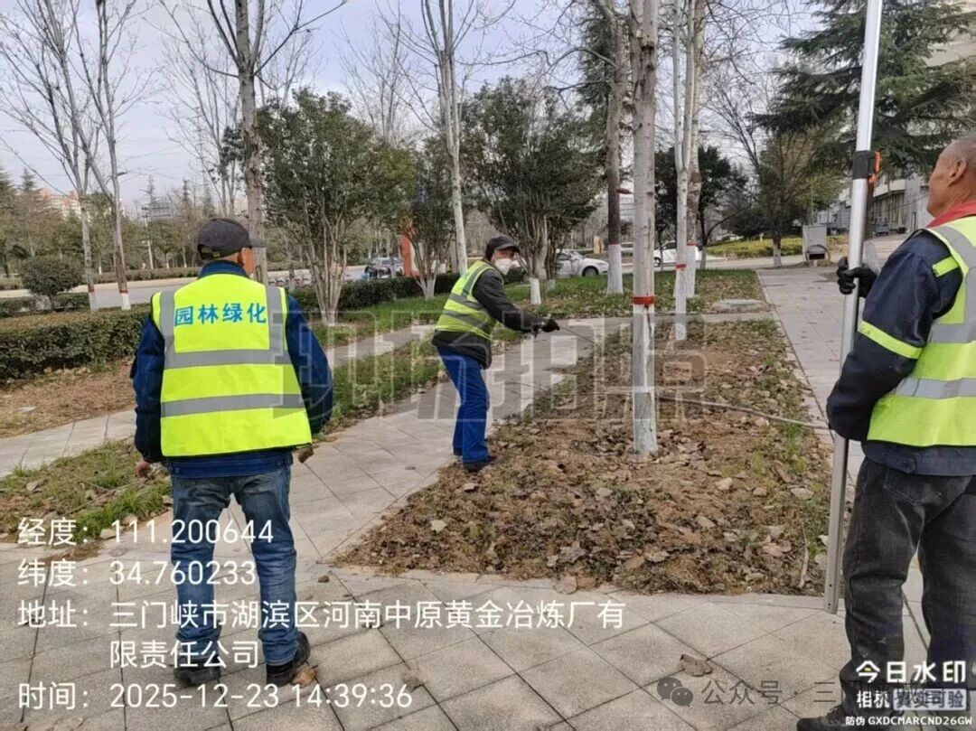 微信图片_20251225083123.jpg 微信图片_20251225083123.jpg