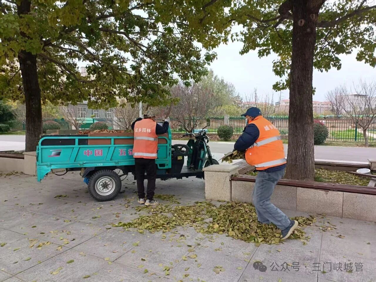 微信图片_20251120085301.jpg 微信图片_20251120085301.jpg