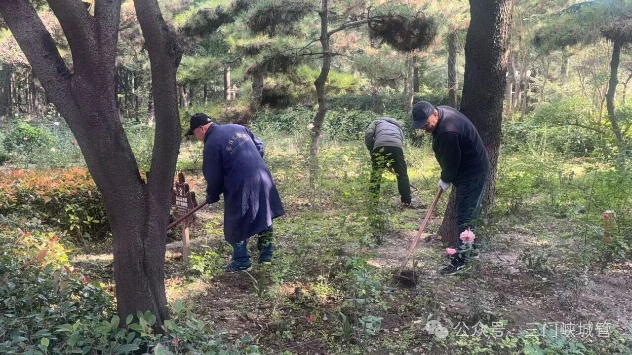 微信图片_20251120085307.jpg 微信图片_20251120085307.jpg