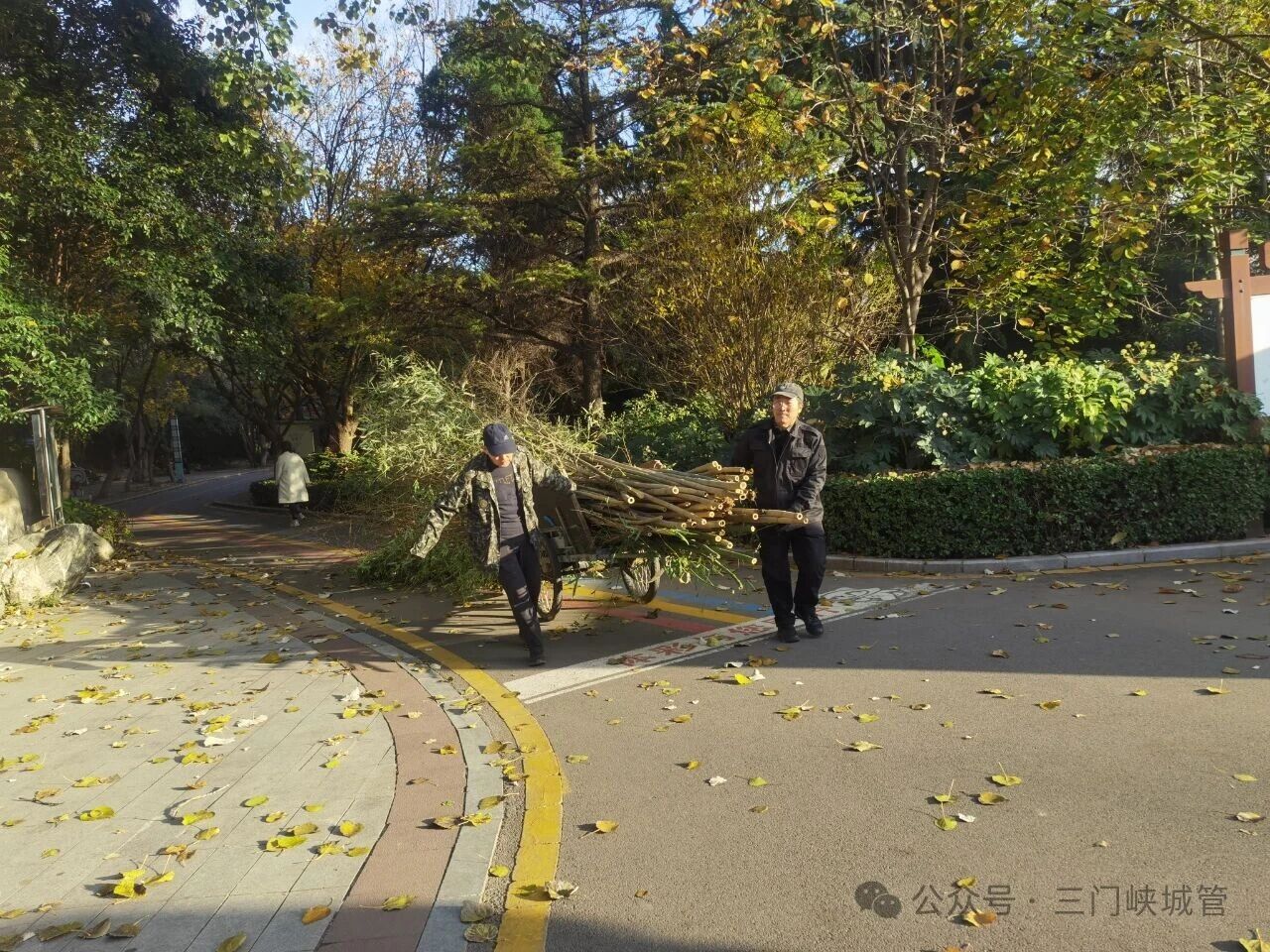 微信图片_20251120085316.jpg 微信图片_20251120085316.jpg