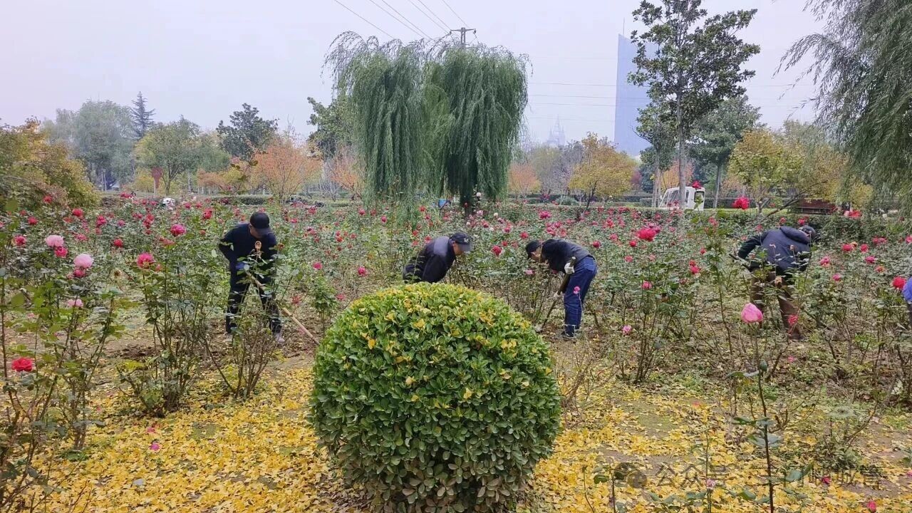 微信图片_20251120085247.jpg 微信图片_20251120085247.jpg