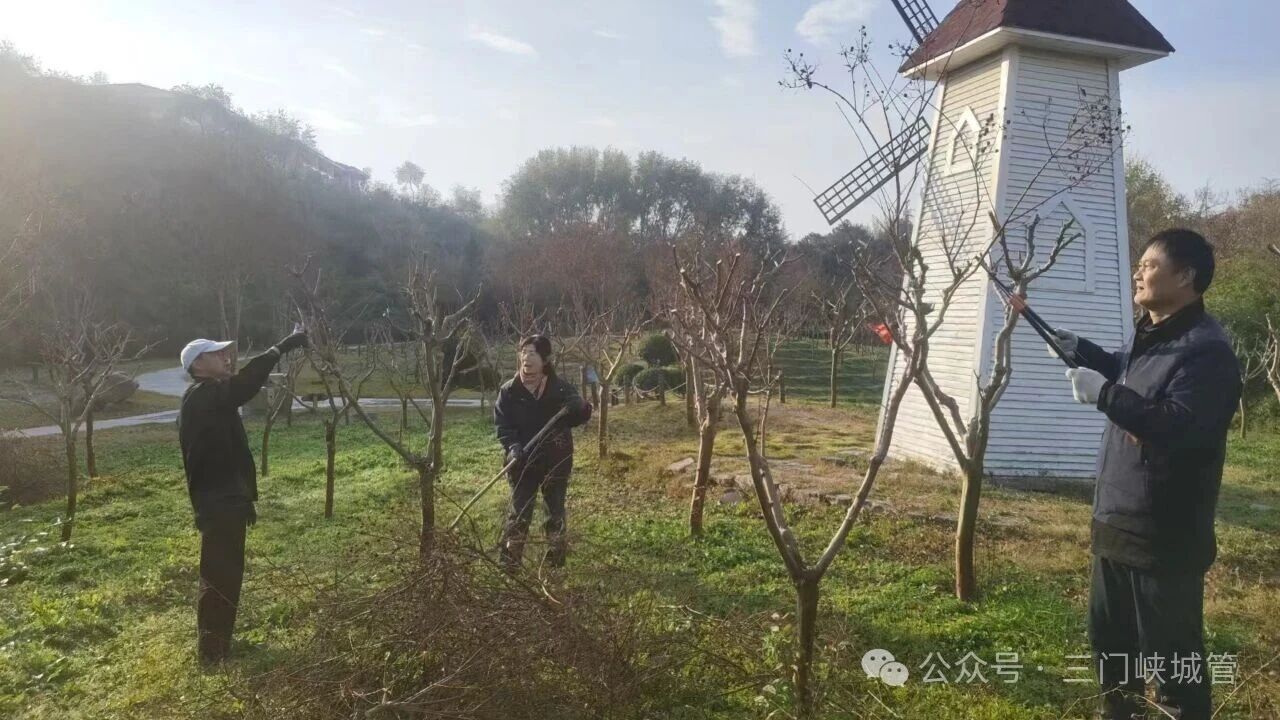 微信图片_20251201084417.jpg 微信图片_20251201084417.jpg