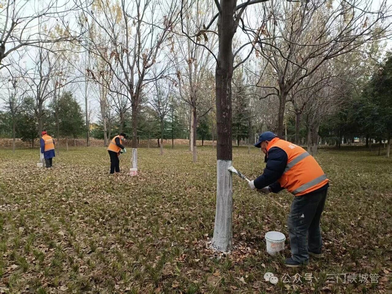 微信图片_20251201084421.jpg 微信图片_20251201084421.jpg