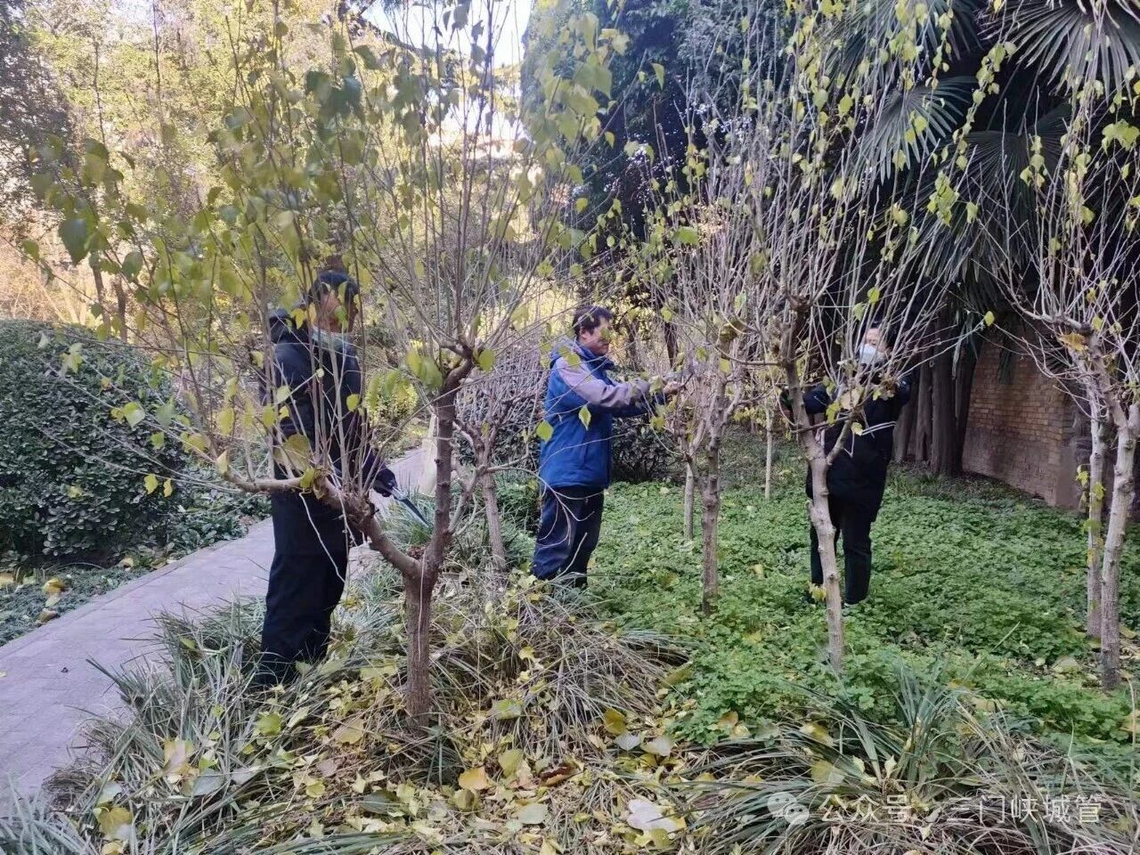 微信图片_20251201084434.jpg 微信图片_20251201084434.jpg