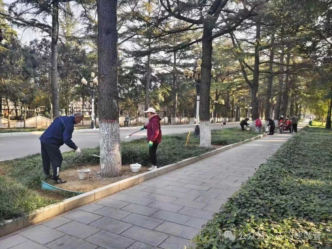 微信图片_20251202145204.jpg 微信图片_20251202145204.jpg