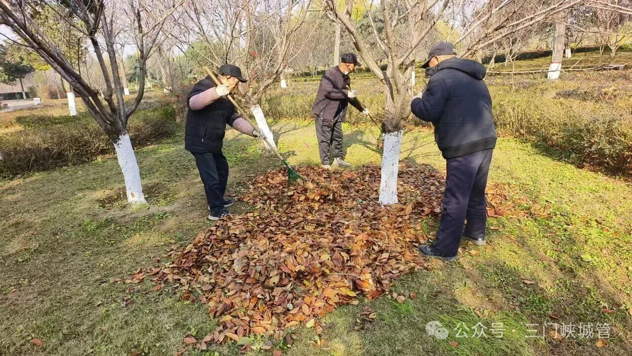 微信图片_20251204081930.jpg 微信图片_20251204081930.jpg