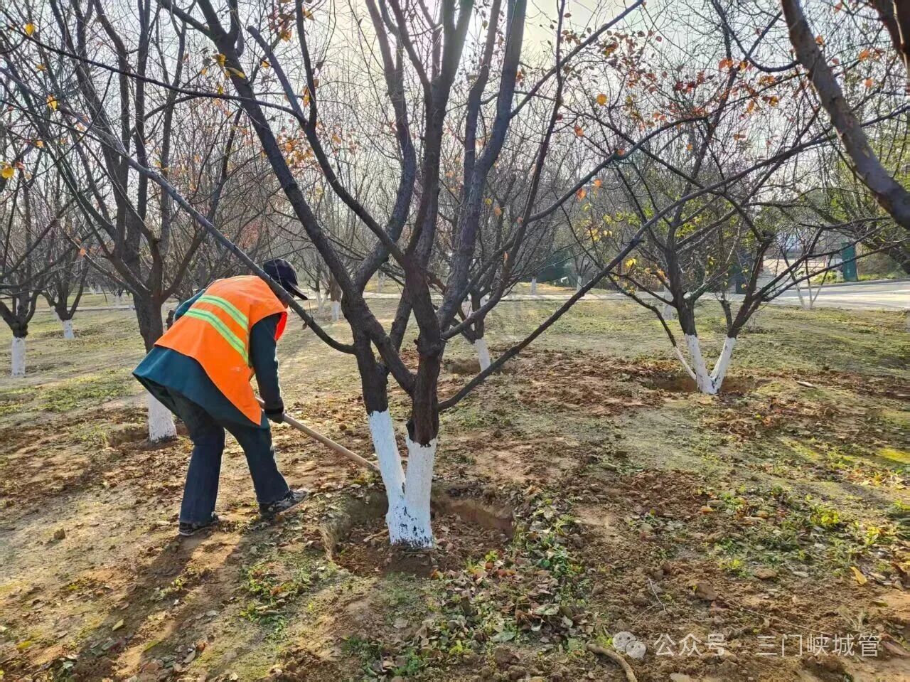 微信图片_20251204082027.jpg 微信图片_20251204082027.jpg