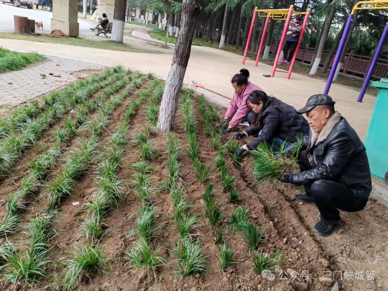 微信图片_20251204082034.jpg 微信图片_20251204082034.jpg