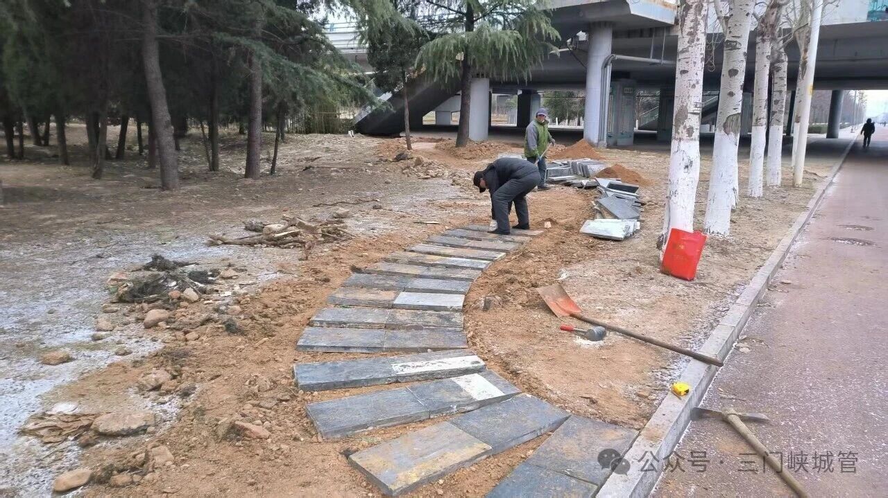 微信图片_20260112082624.jpg 微信图片_20260112082624.jpg