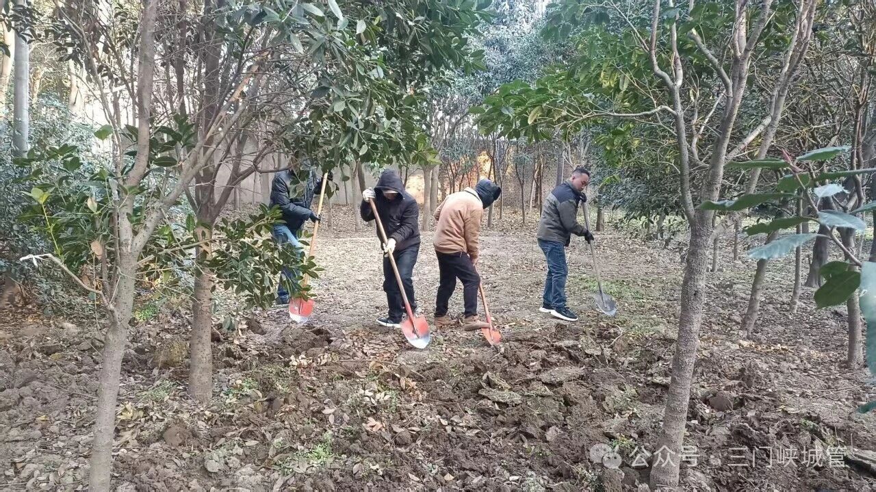 微信图片_20260112082646.jpg 微信图片_20260112082646.jpg