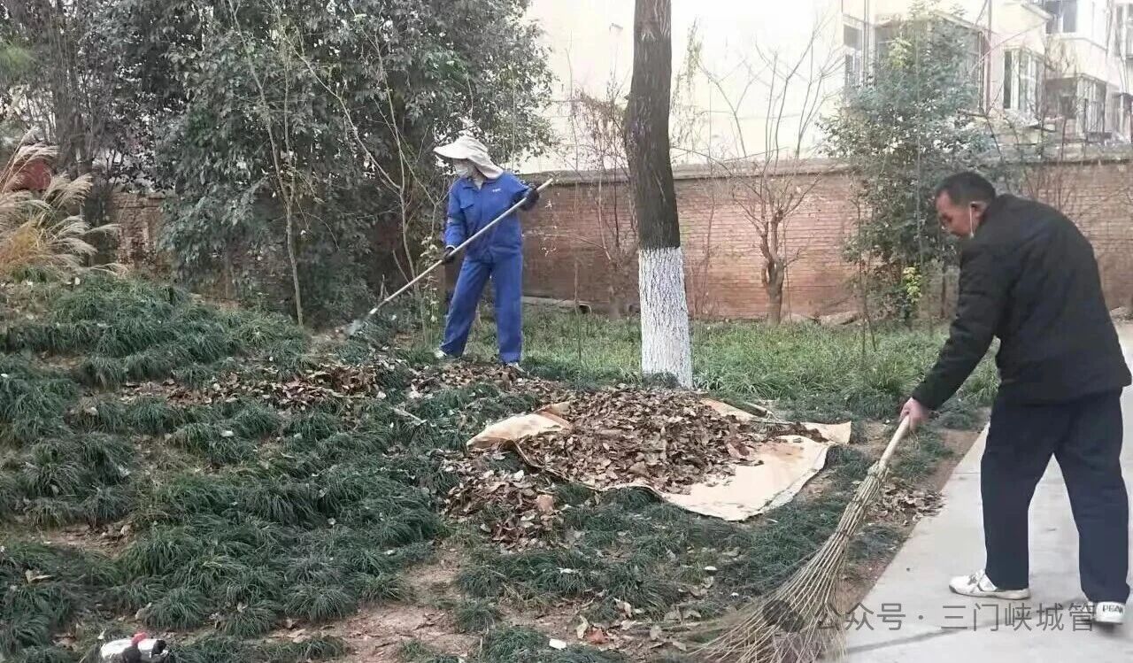 微信图片_20260112082654.jpg 微信图片_20260112082654.jpg