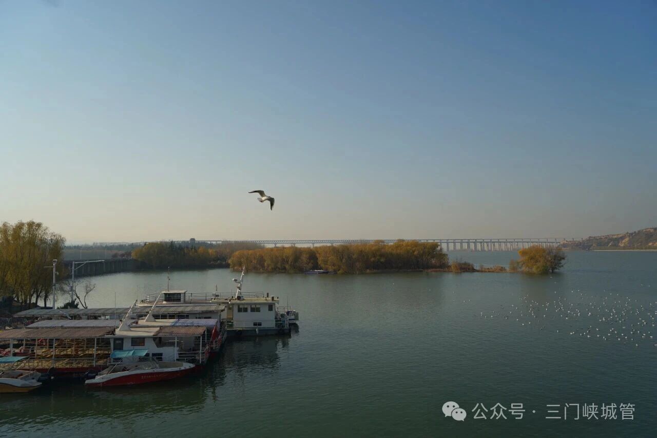 微信图片_20251208102604.jpg 微信图片_20251208102604.jpg