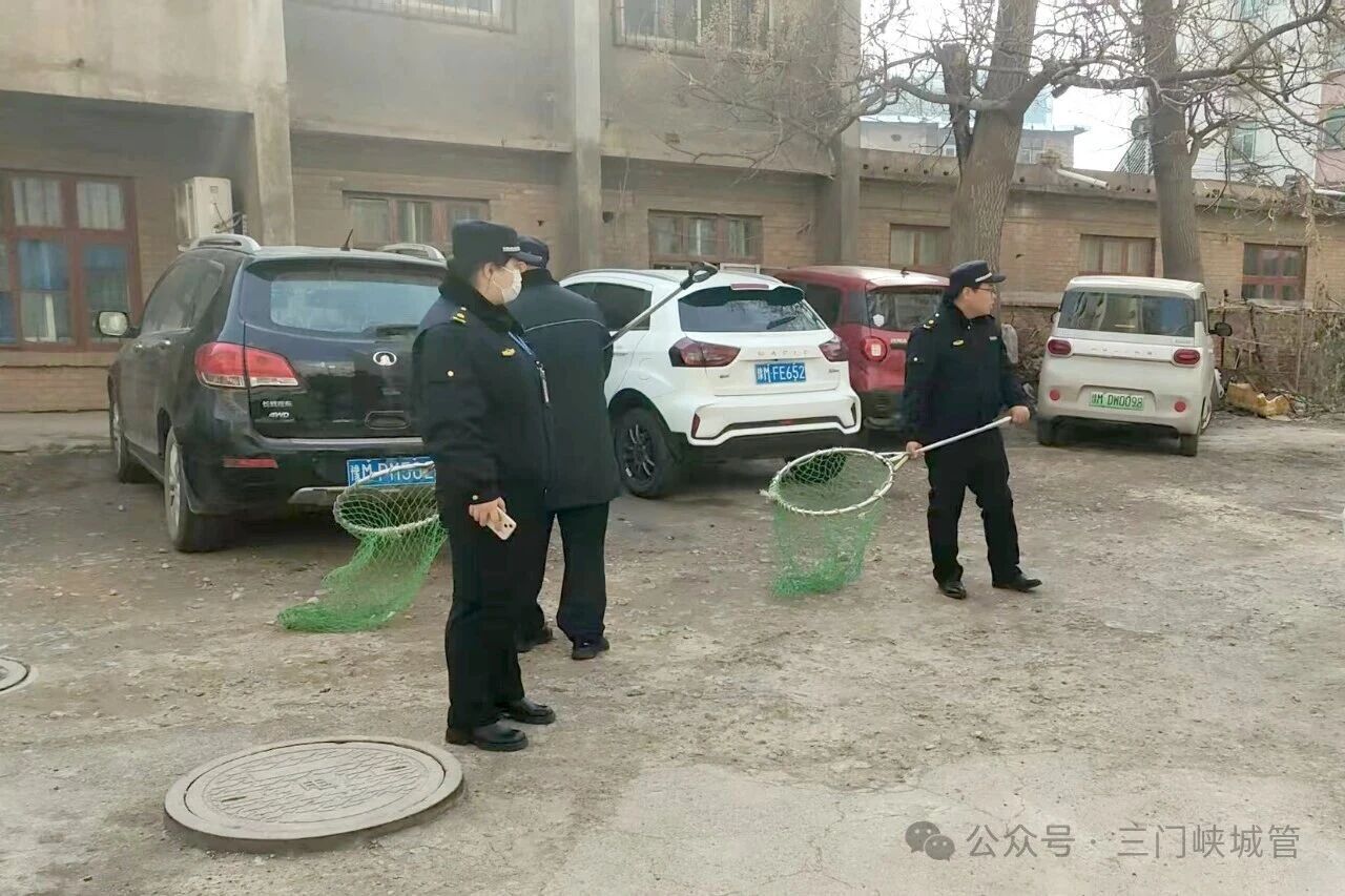 微信图片_20260127081921.jpg 微信图片_20260127081921.jpg