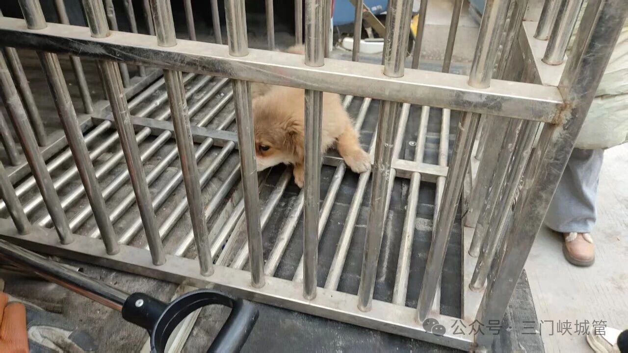 微信图片_20260127081928.jpg 微信图片_20260127081928.jpg