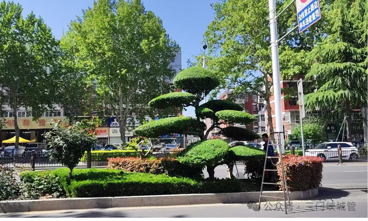 微信图片_2026-04-22_082939_054.png