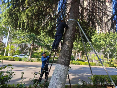 微信图片_2026-05-01_085242_506.png
