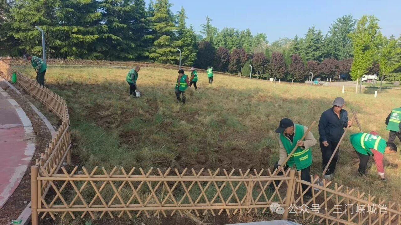 微信图片_2026-05-01_082449_402.jpg