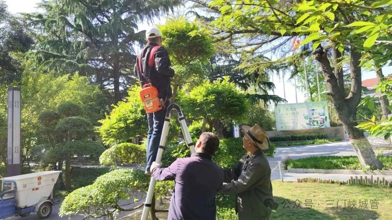 微信图片_2026-05-01_082439_232.jpg