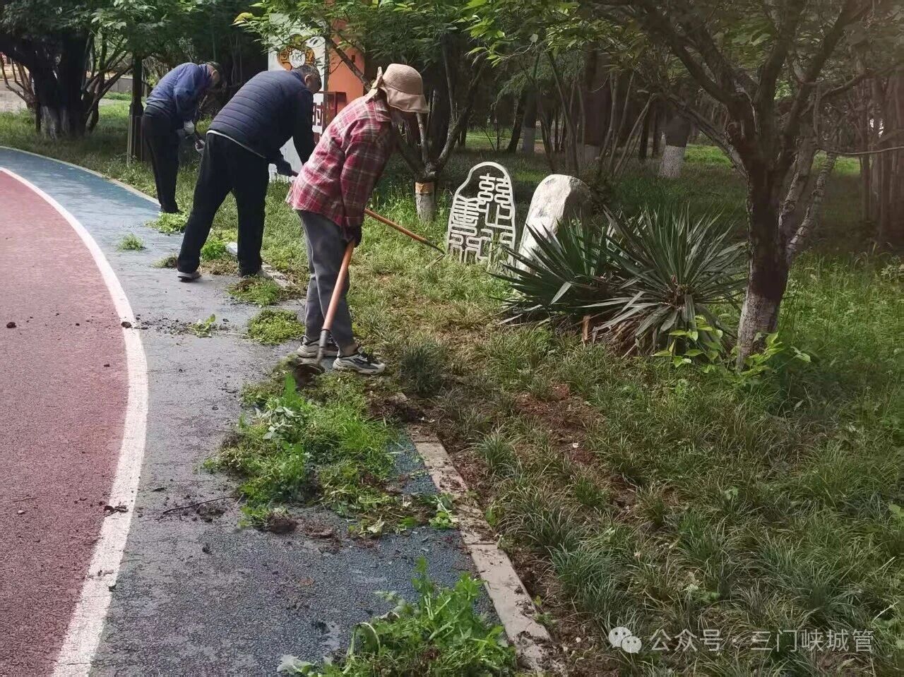 微信图片_2026-05-01_082456_610.jpg