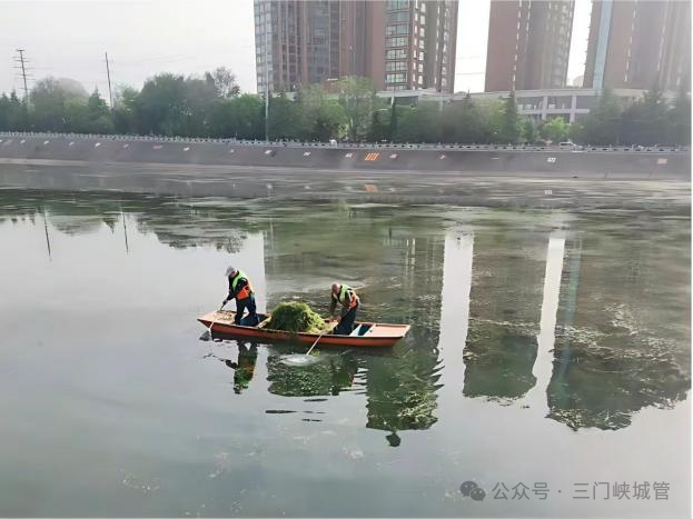 微信图片_2026-05-07_082031_378.png