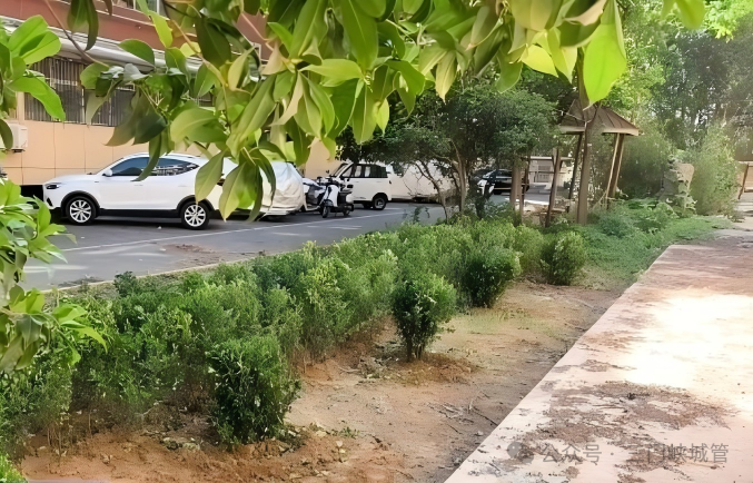 微信图片_2026-05-09_082604_042.png