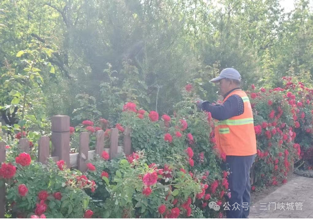 微信图片_2026-05-11_083119_429.png