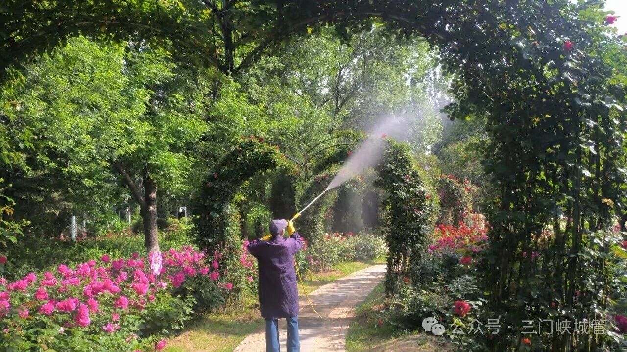 微信图片_2026-05-14_081711_241.jpg