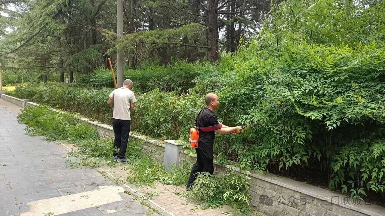 微信图片_2026-05-14_081725_628.jpg