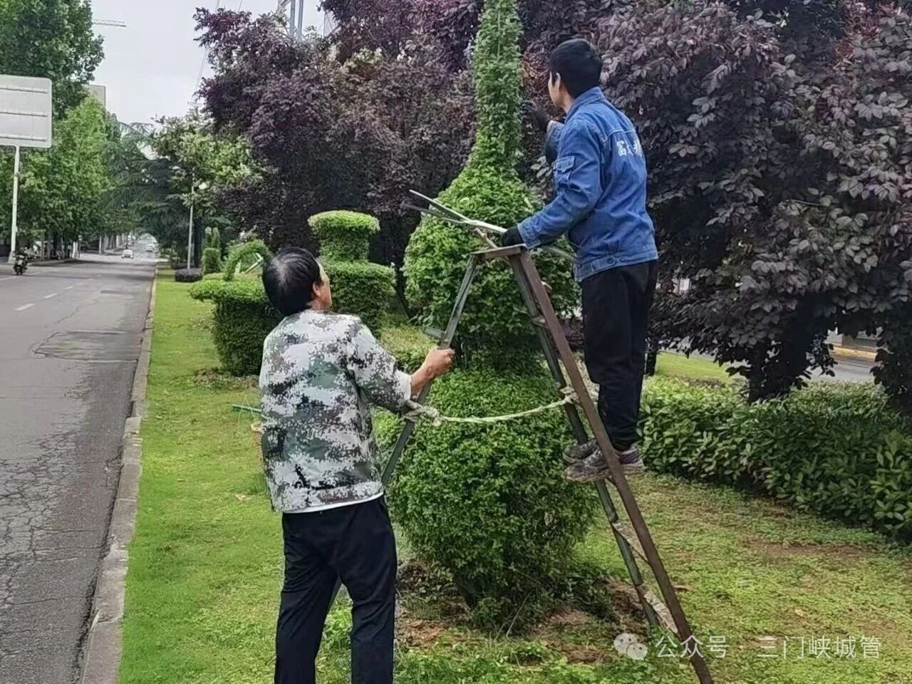 微信图片_2026-05-22_081018_892.jpg