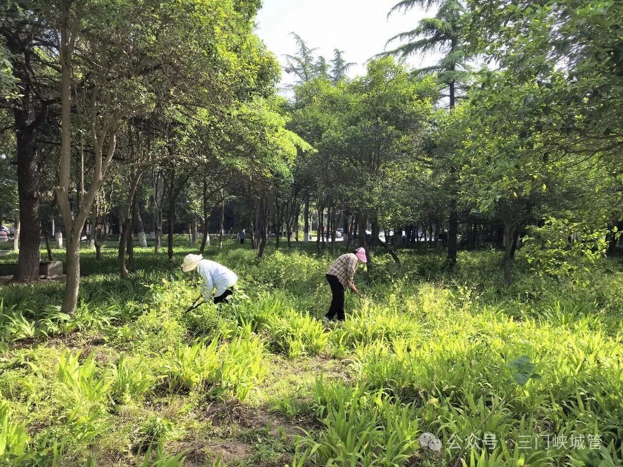 微信图片_2026-05-22_080951_283.jpg