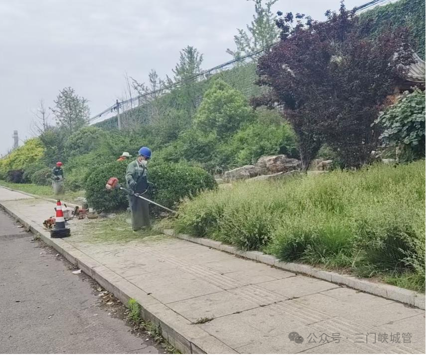 微信图片_2026-05-25_083108_834.png