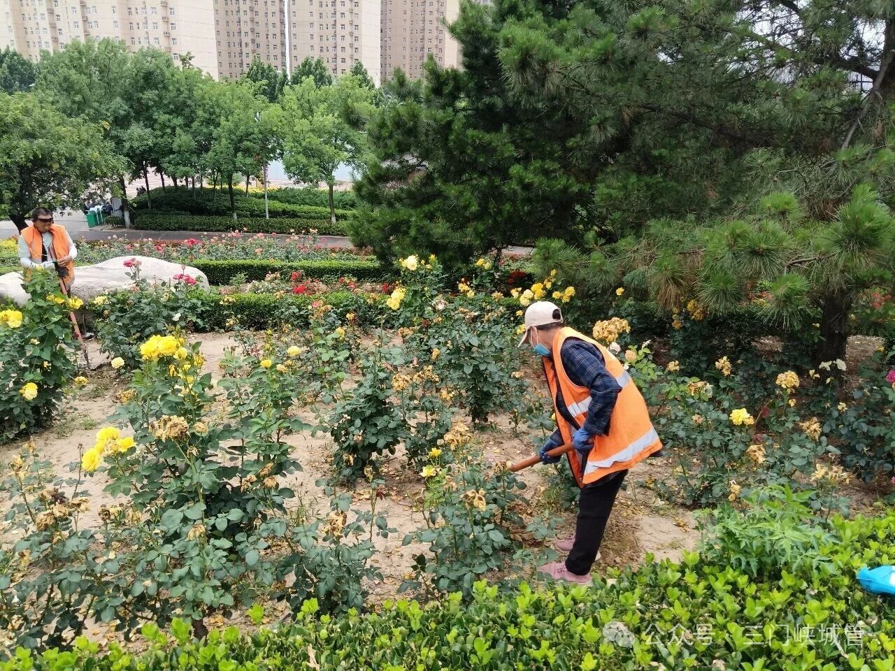 微信图片_2026-05-29_082328_136.jpg