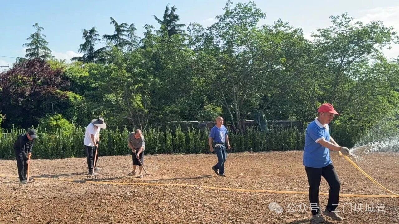 微信图片_2026-05-29_082334_256.jpg
