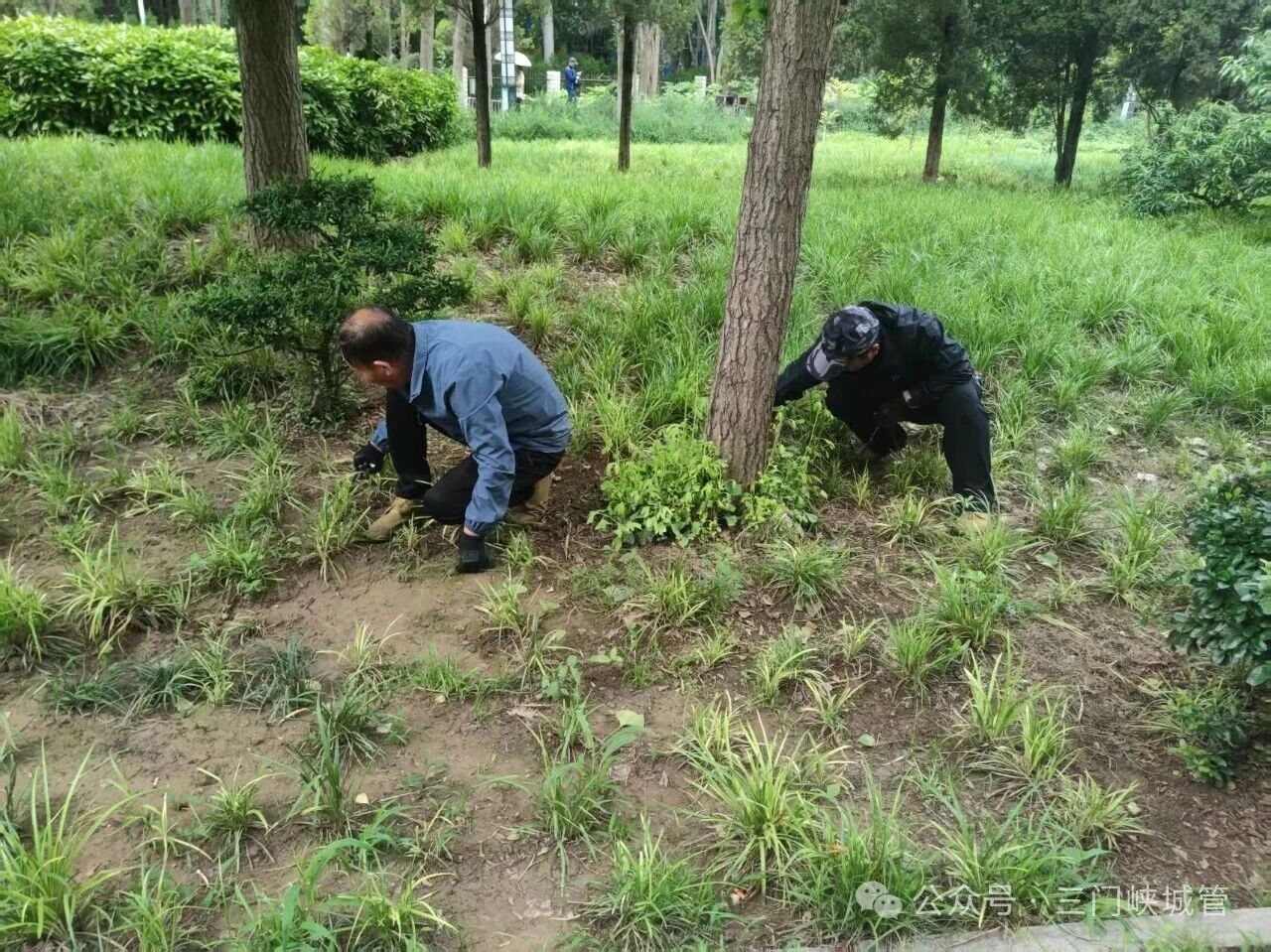 微信图片_2026-05-29_082341_984.jpg