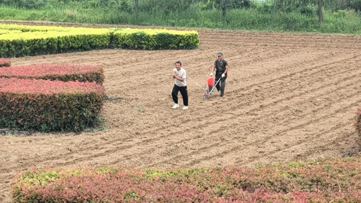 微信图片_2026-06-01_082447_294.png