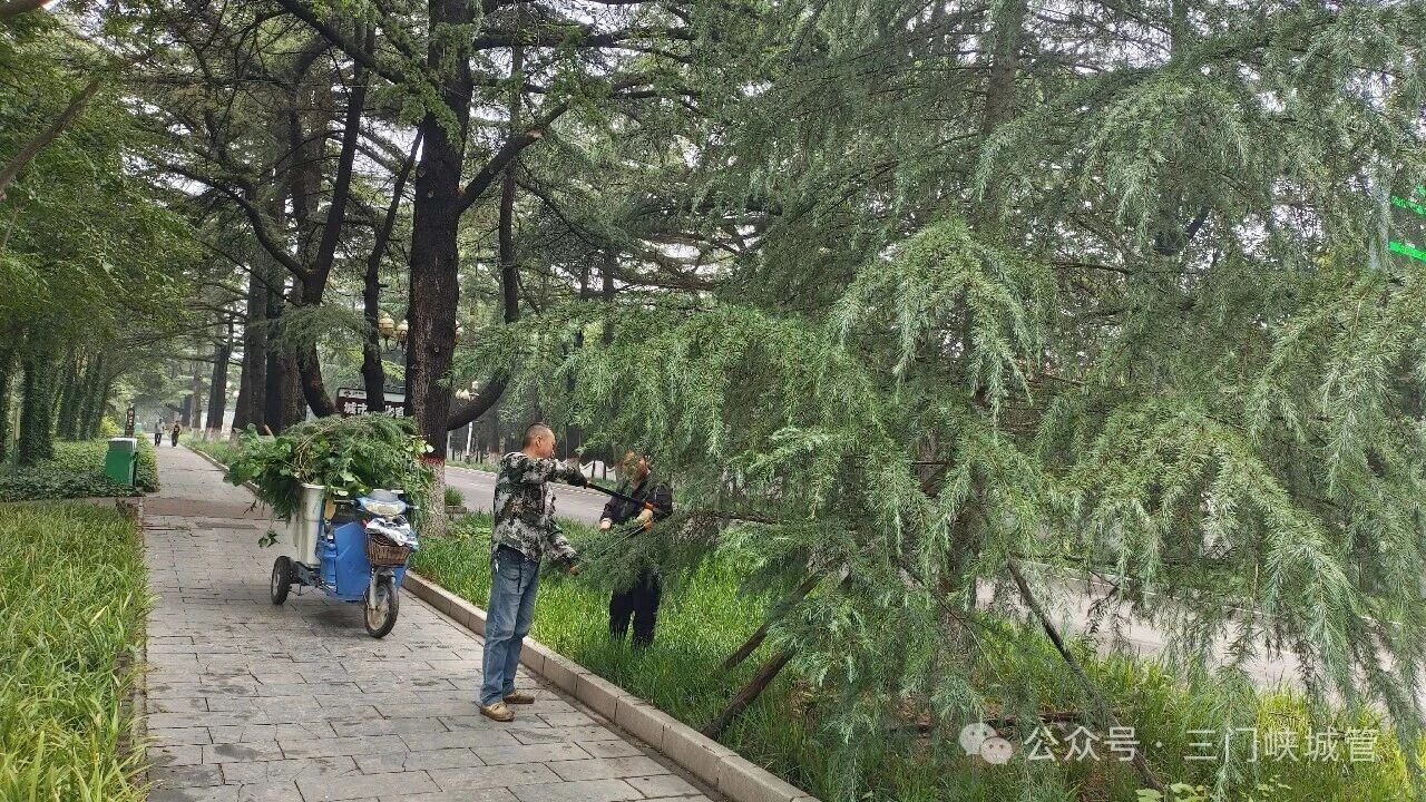 微信图片_2026-06-09_085057_020.jpg
