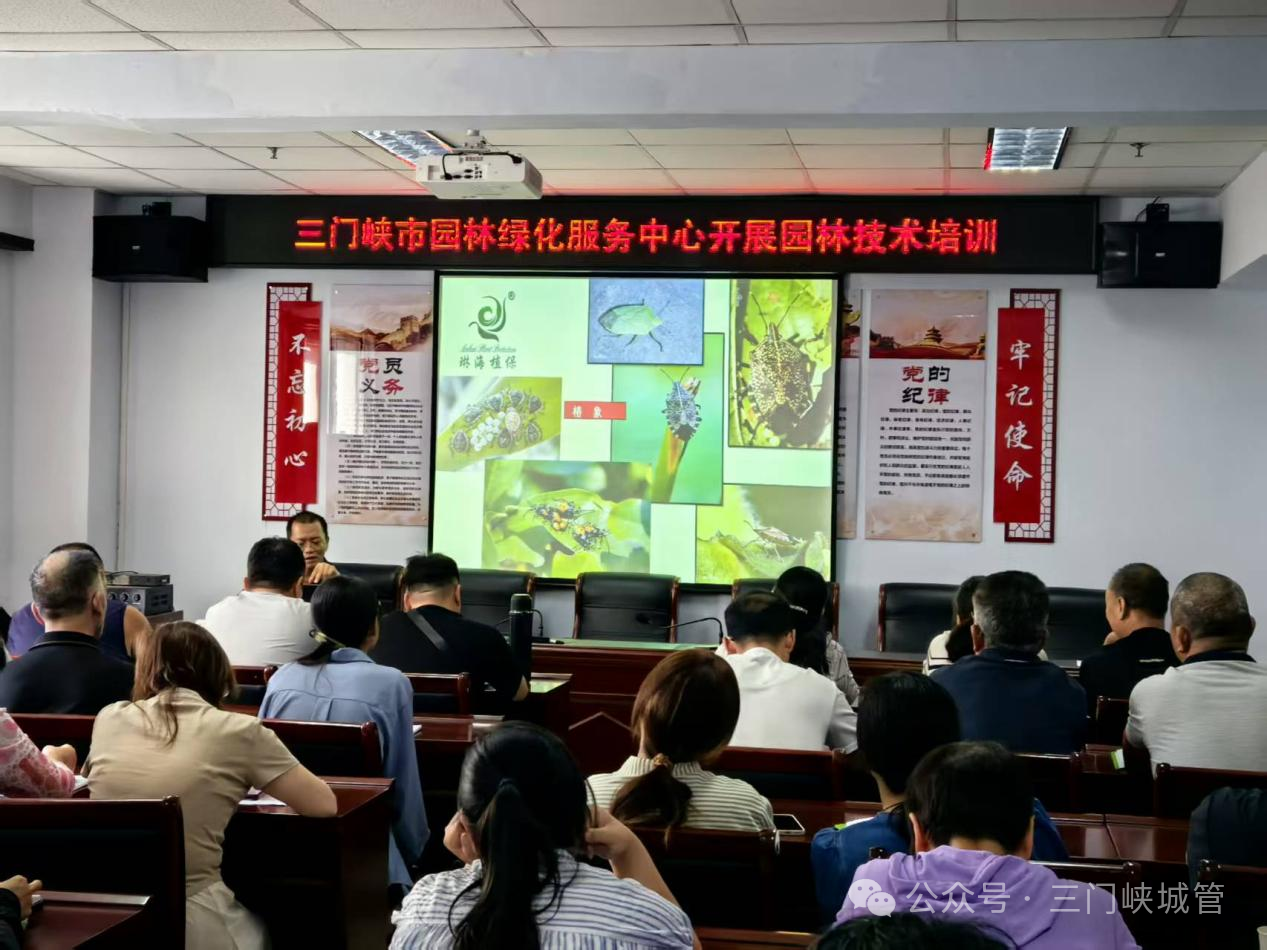 微信图片_2026-06-11_082141_657.png