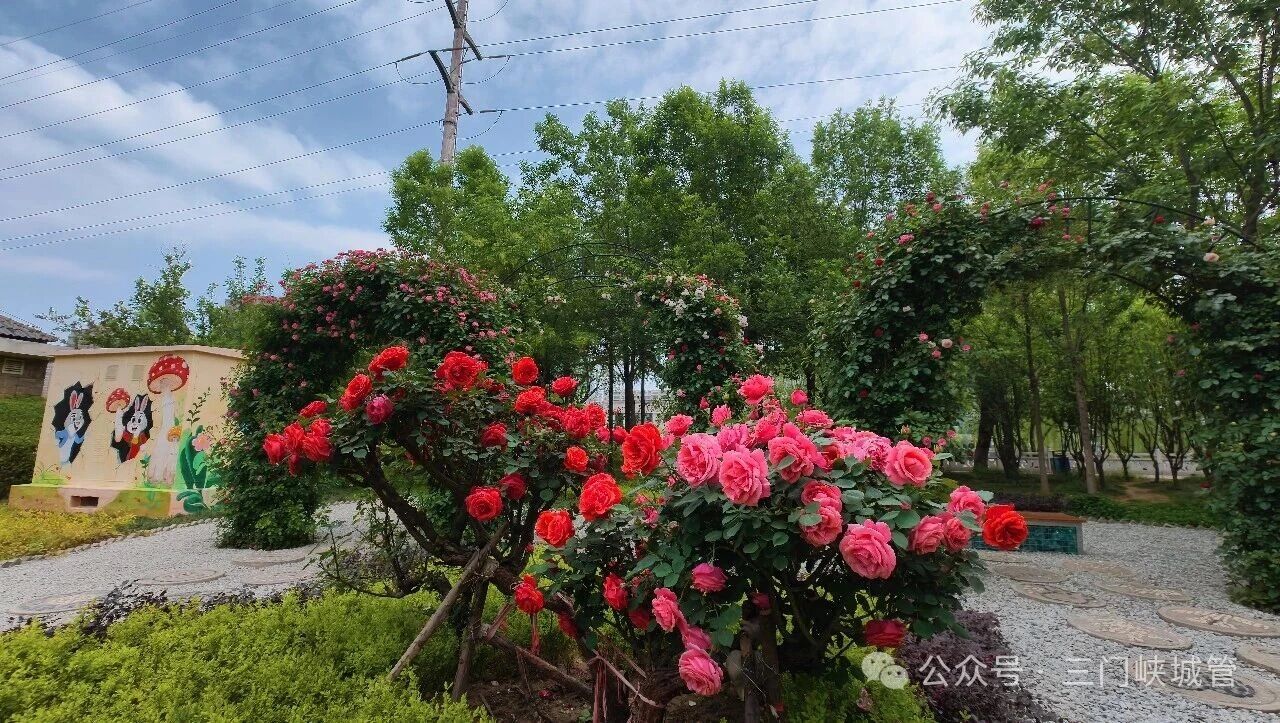 微信图片_2026-05-01_090214_399.jpg