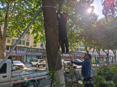微信图片_2026-05-01_085238_009.png