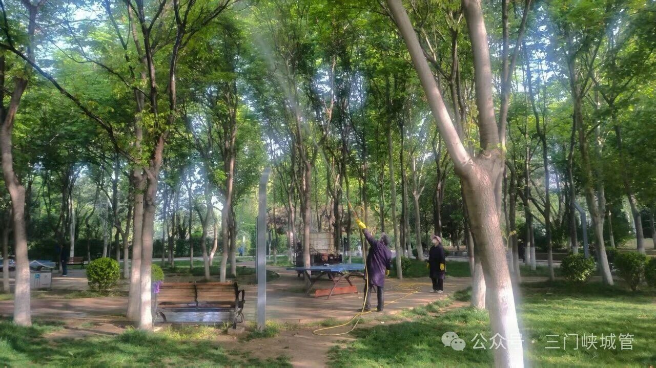 微信图片_2026-05-01_082423_233.jpg