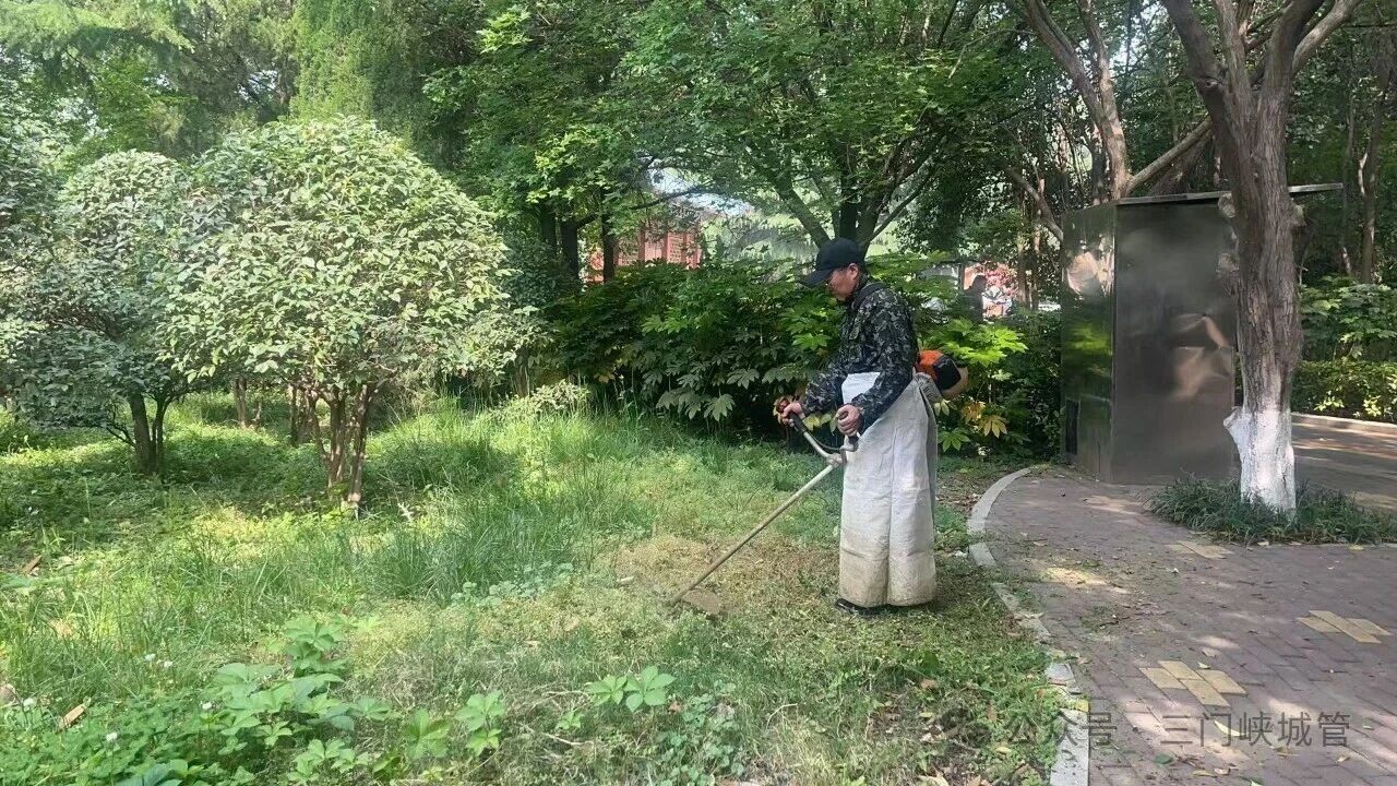 微信图片_2026-05-01_082459_207.jpg
