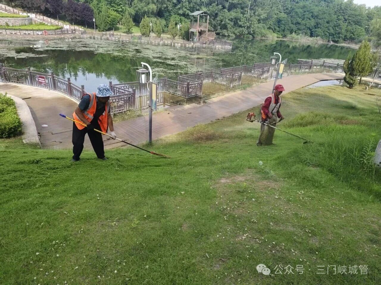 微信图片_2026-06-15_082856_244.jpg